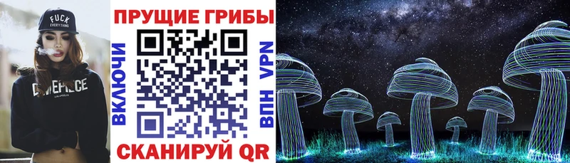 KRAKEN ТОР Свирск Галлюциногенные грибы GOLDEN TEACHER